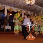 VLUU L100, M100  / Samsung L100, M100